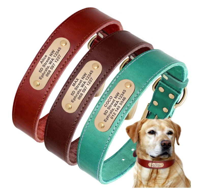 Personalized Dog Collar - Custom Leather Dog Collar with Engravable  Nameplate - Durable Name Tag Collar - Customizable Dog Collar - Comfortable  ID