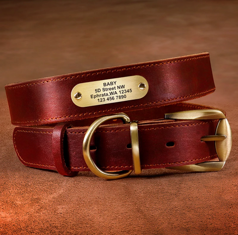 Personalized Dog ID Collars and Leashes | Season Sale 50% OFF – CurliTail
