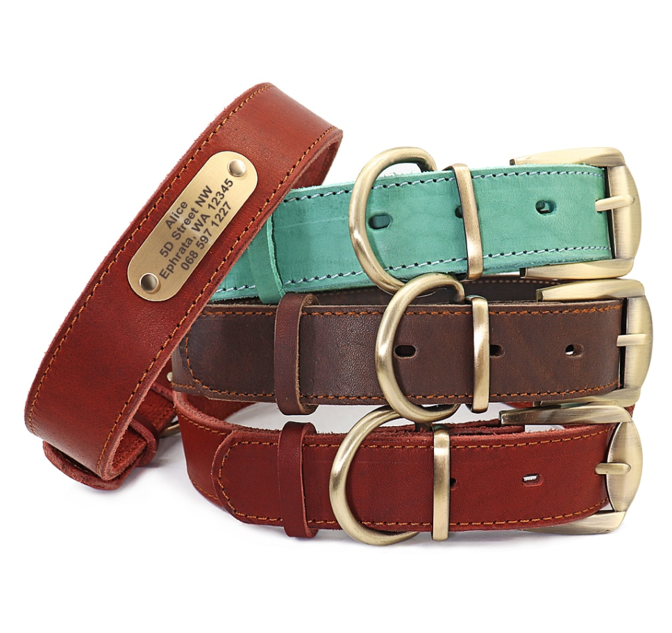 Personalized Leather dog ID Collar All weather leather dog collars water proof dog collars CurliTail
