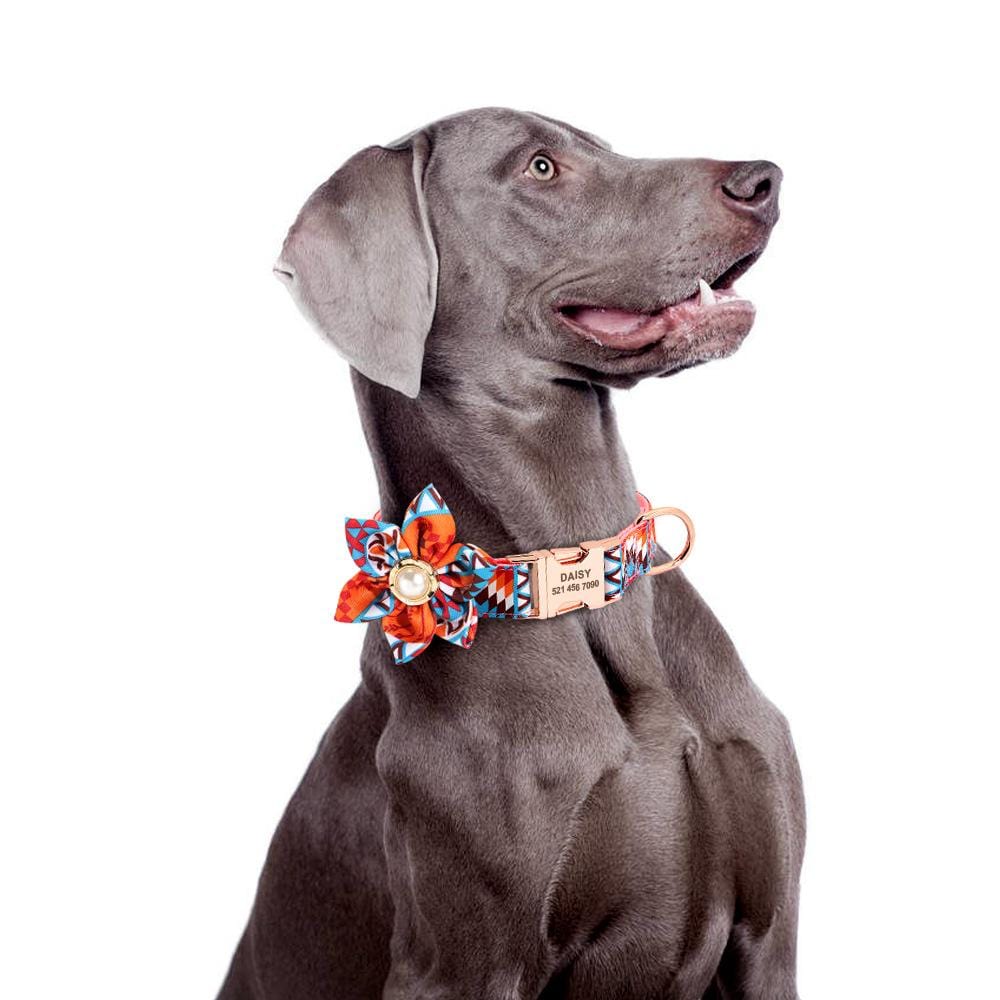 Lucky Love Dog Collars, Vivid Floral Dog Collar, Cute Dog Collar for Large Female  Dogs, Blackbird, Large - Yahoo Shopping