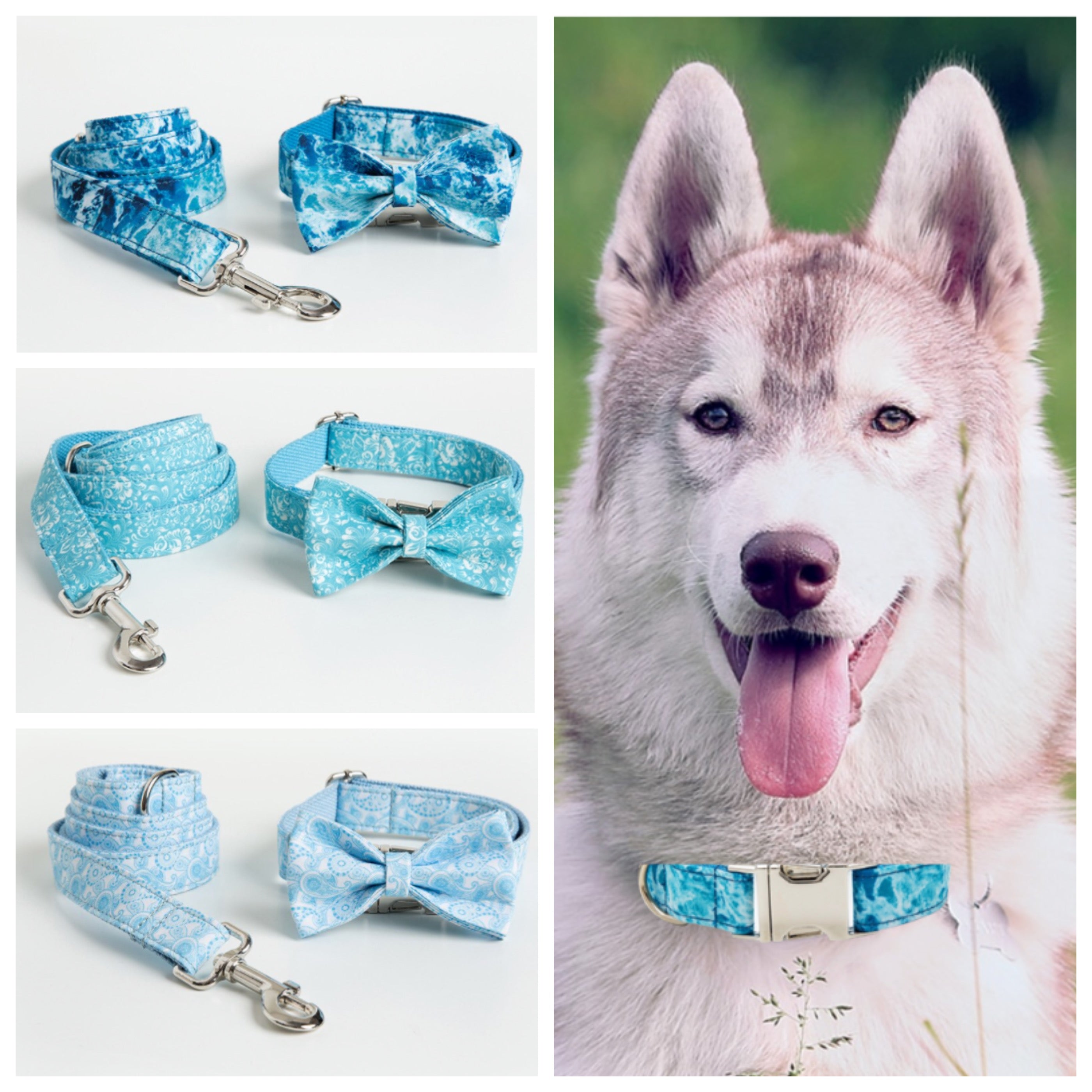 Free Engraving Bow Collars  Adjustable Bow Dog ID Collars – CurliTail
