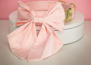 Peach Orange Butterfly Collar With Flower- Personalized - CurliTail