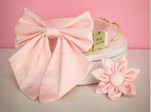 Peach Orange Butterfly Collar With Flower- Personalized - CurliTail