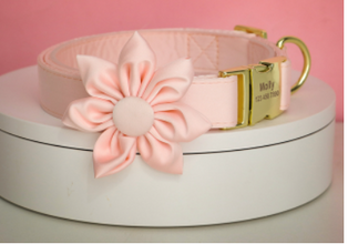Peach Orange Butterfly Collar With Flower- Personalized - CurliTail