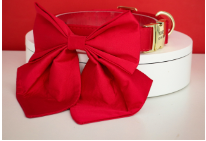 Rosy Red Butterfly Collar With Flower - Personalized