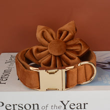 Blissfull Brown Shades: Personalized Flower Collar and Leash Set - CurliTail