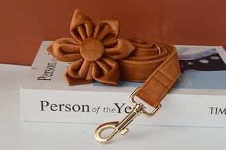 Blissfull Brown Shades: Personalized Flower Collar and Leash Set - CurliTail