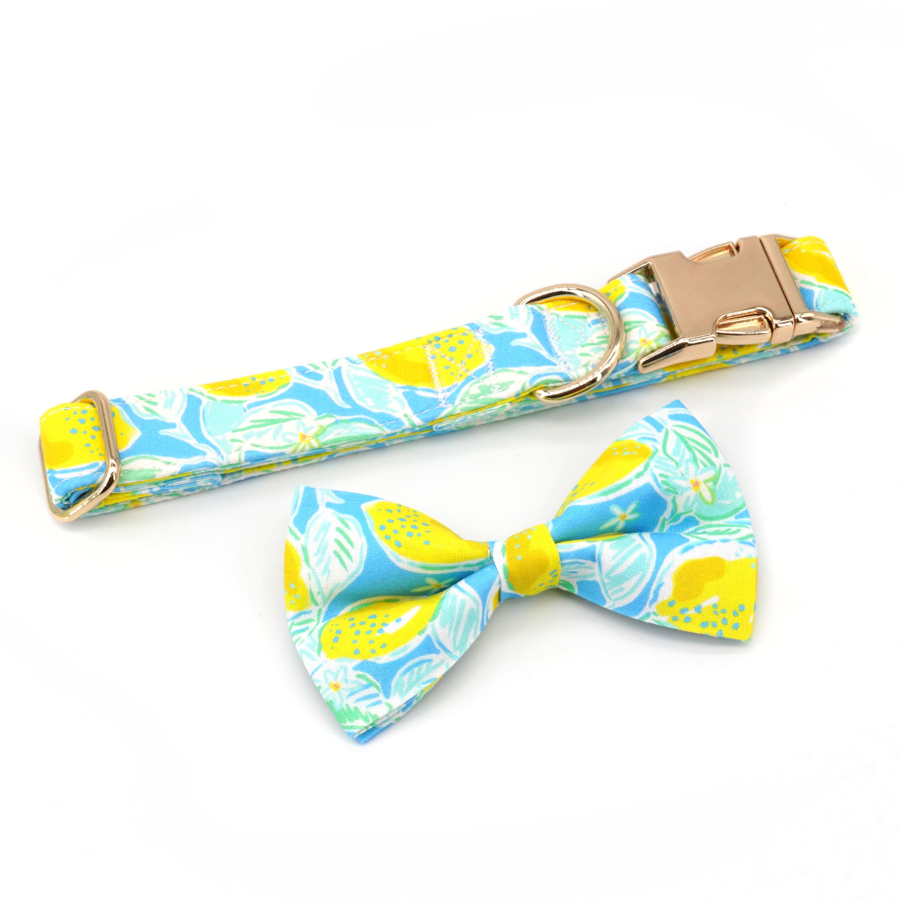 Summer Lemon Dog Collar Bowtie with Matching Leash | Personalized