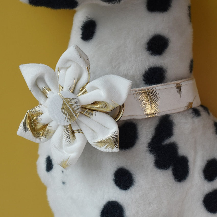 Sparkling White:  Personalized Pet Flower Collar And Leash