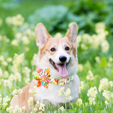 Multidesign Flower Dog Collar: Personalized Accessory in multiple colors - CurliTail
