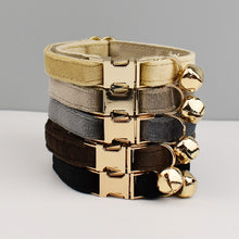 Velvetty Trends: Personalized Collars and Bowties