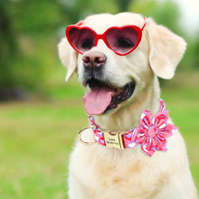 Multidesign Flower Dog Collar: Personalized Accessory in multiple colors - CurliTail