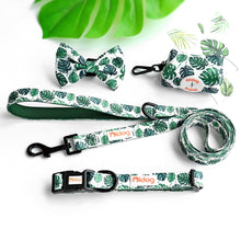 Patterns And Shades: Bow Collar, Leash And Poop Bag Pack - CurliTail