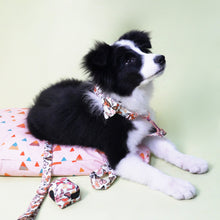 Breezy Butterflies: Personalized Bow collar And Leash Set. - CurliTail