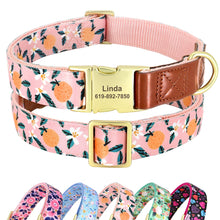 Shades Of PU Leather Collars: Personalized - CurliTail