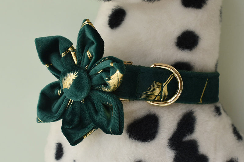 Sparkle With Green: Personalized Pet Flower Collar And Leash