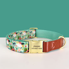 Shades Of PU Leather Collars: Personalized - CurliTail