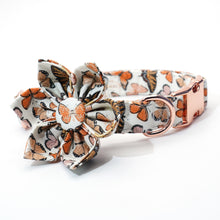Breezy Butterflies Set: Personalized Flower Collar/Bow collar, Harness, Leash, Poopbag, And Bandana. - CurliTail