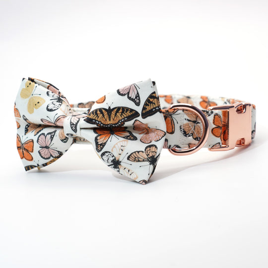 Breezy Butterflies: Personalized Bow collar And Leash Set.