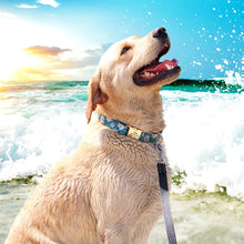 Printed Waterproof Personalized Collars And Leashes - CurliTail