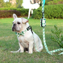 Patterns And Shades: Bow Collar, Leash And Poop Bag Pack - CurliTail