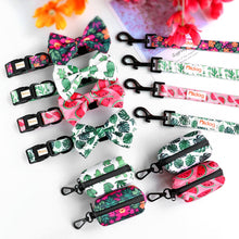 Patterns And Shades: Bow Collar, Leash And Poop Bag Pack - CurliTail