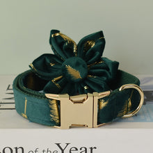 Sparkle With Green: Personalized Pet Flower Collar And Leash - CurliTail