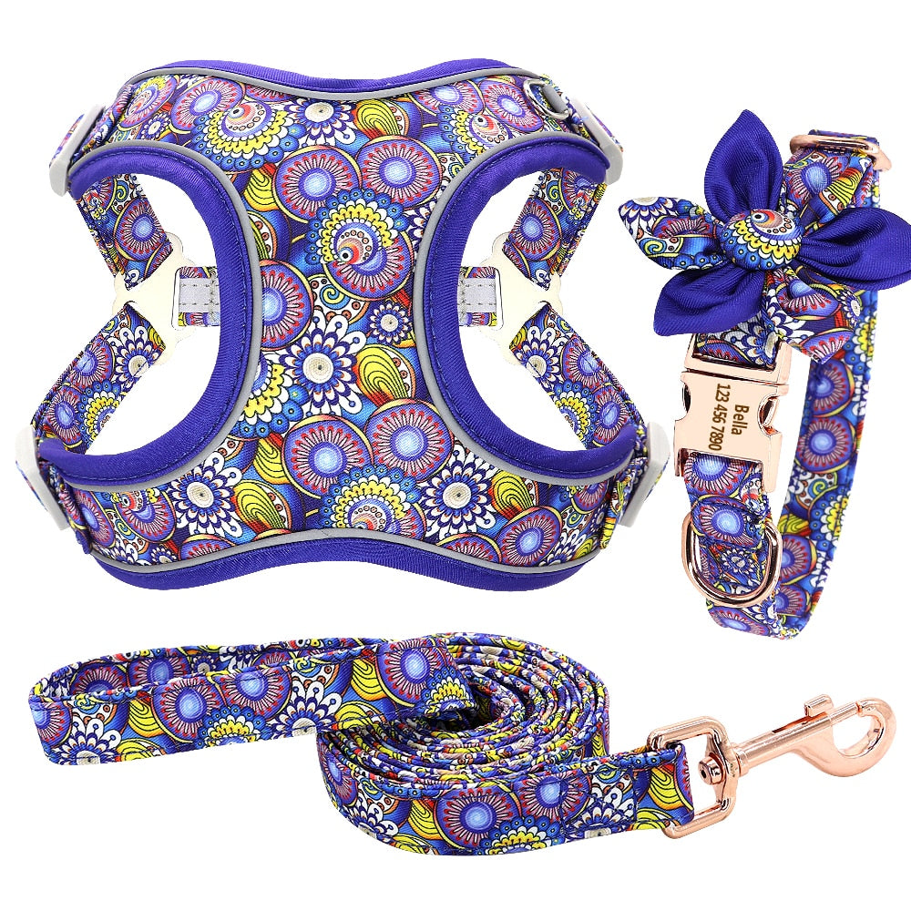 Blue Diaries: Personalized SET/Collars/Leash/Harness - CurliTail