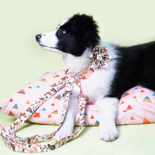 Breezy Butterflies: Personalized Flower collar And Leash Set. - CurliTail