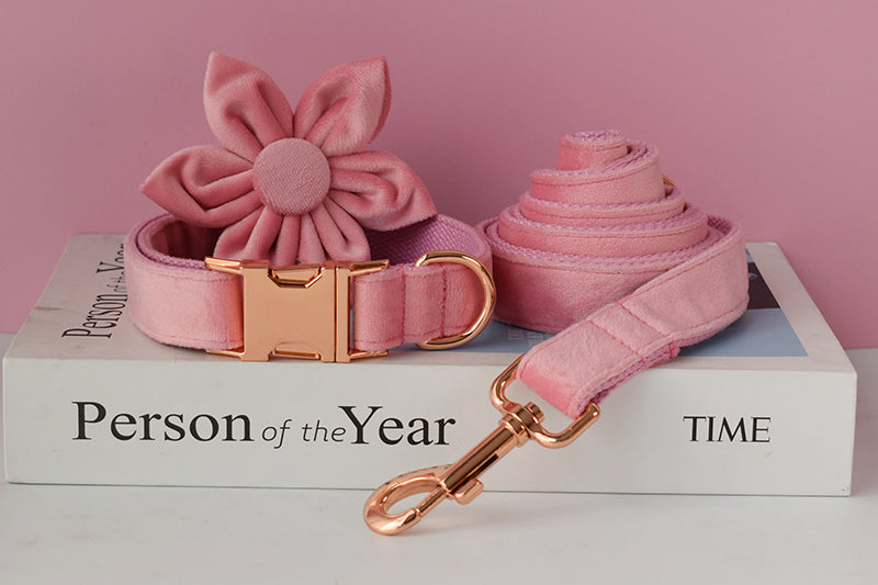 Magical Pink Shades: Personalized Flower Collar and Leash Set