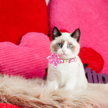 Multidesign Flower Dog Collar: Personalized Accessory in multiple colors - CurliTail