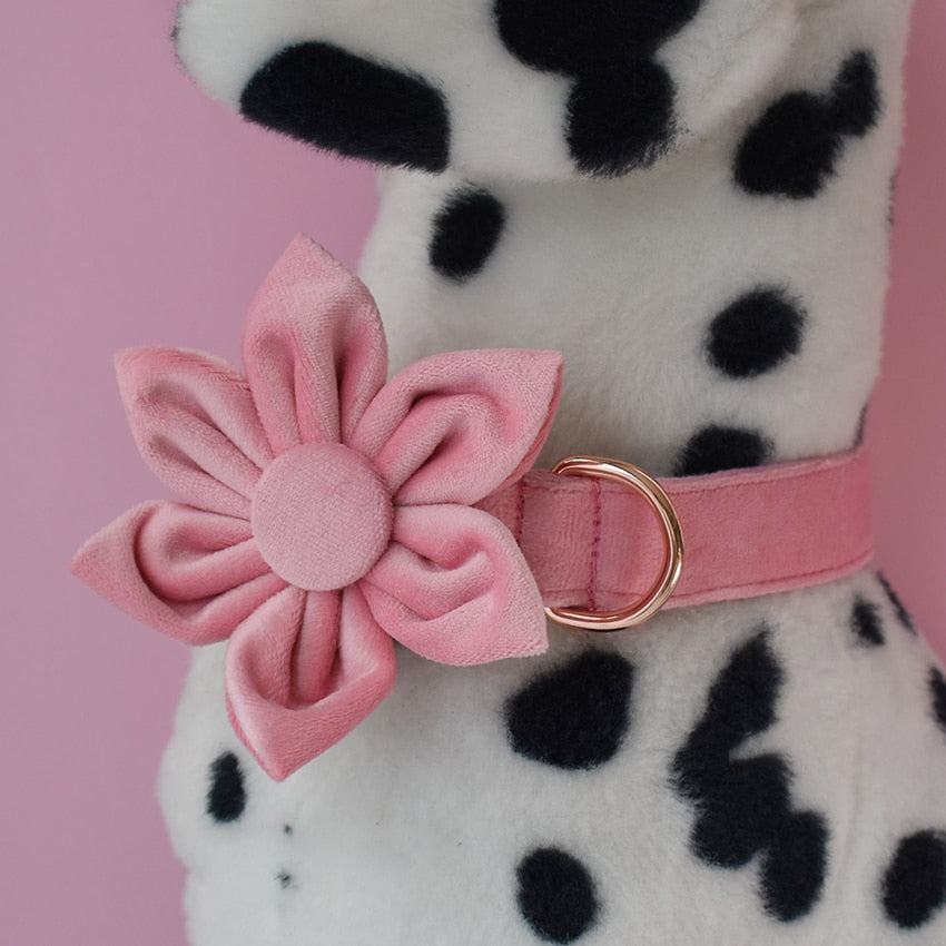 Magical Pink Shades: Personalized Flower Collar and Leash Set - CurliTail