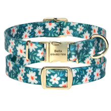 Printed Waterproof Personalized Collars And Leashes - CurliTail