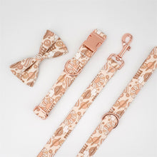 Surprising Saturn: Personalized Bow Collar And Leash Set - CurliTail