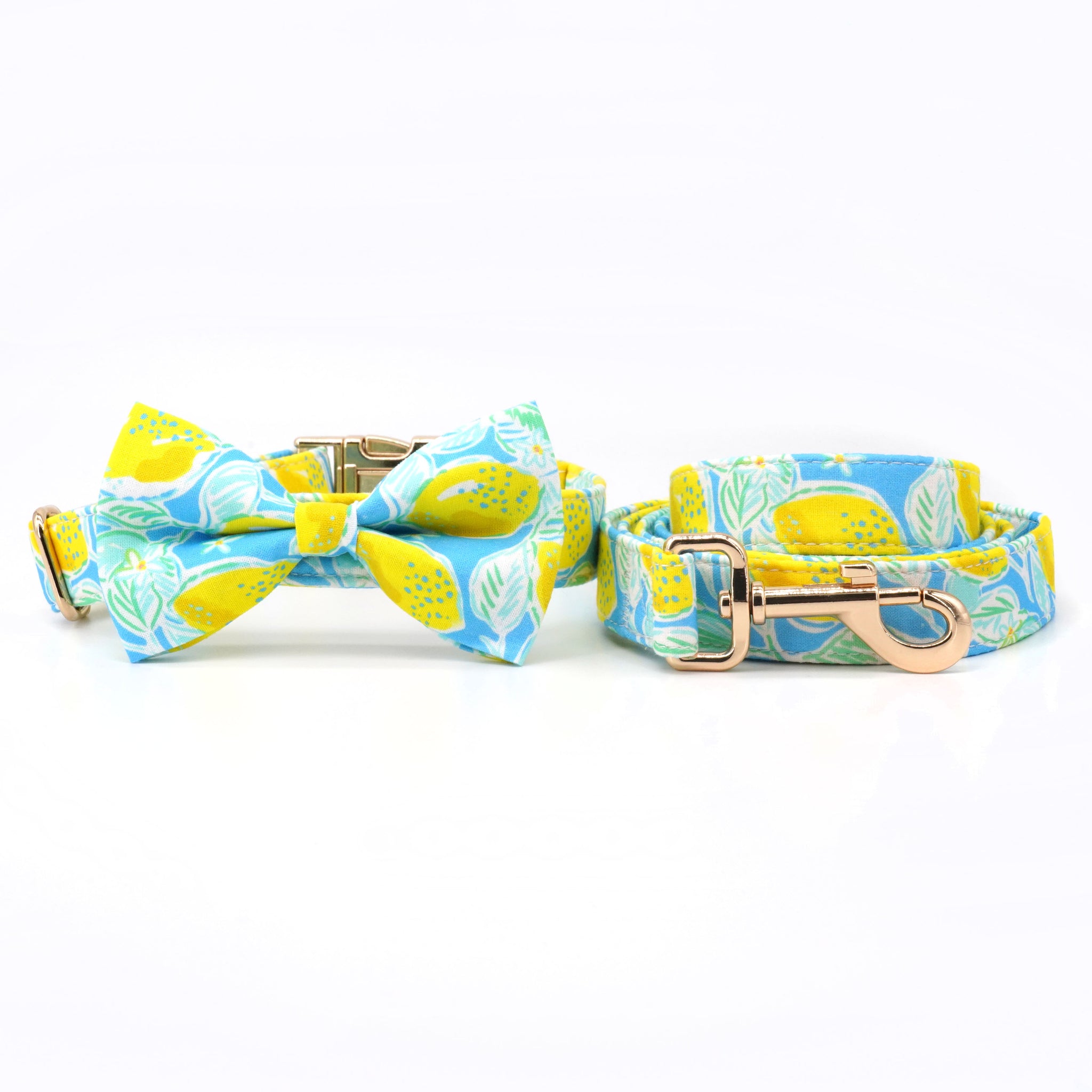 Summer Lemon Dog Collar Bowtie with Matching Leash | Personalized - CurliTail