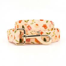 Party Time:  Personalized Collars And Leashes - CurliTail