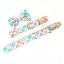 Summer Plaid Fashions: Personalized Collar And Leash - CurliTail
