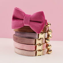 Velvet Charms: Personalized Collars and Bowties