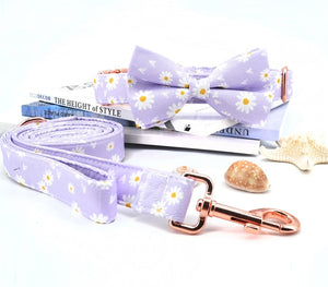 Daisy Designs: Personalized Bowtie Collar And Leash Set