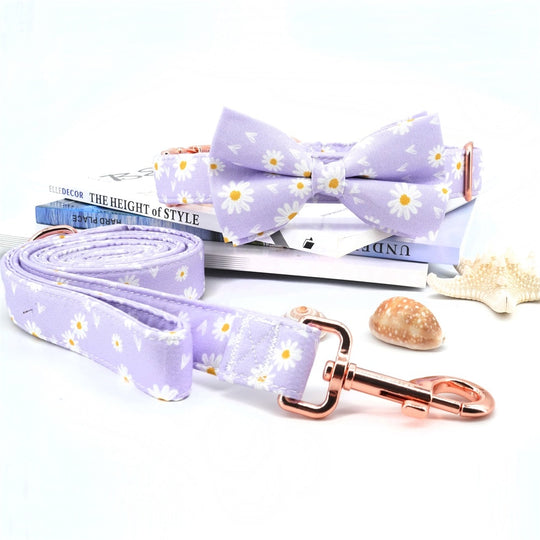 Daisy Designs: Personalized Bowtie Collar And Leash Set