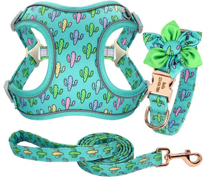 Cactus Prickles: Personalized SET/Collars/Leash/Harness