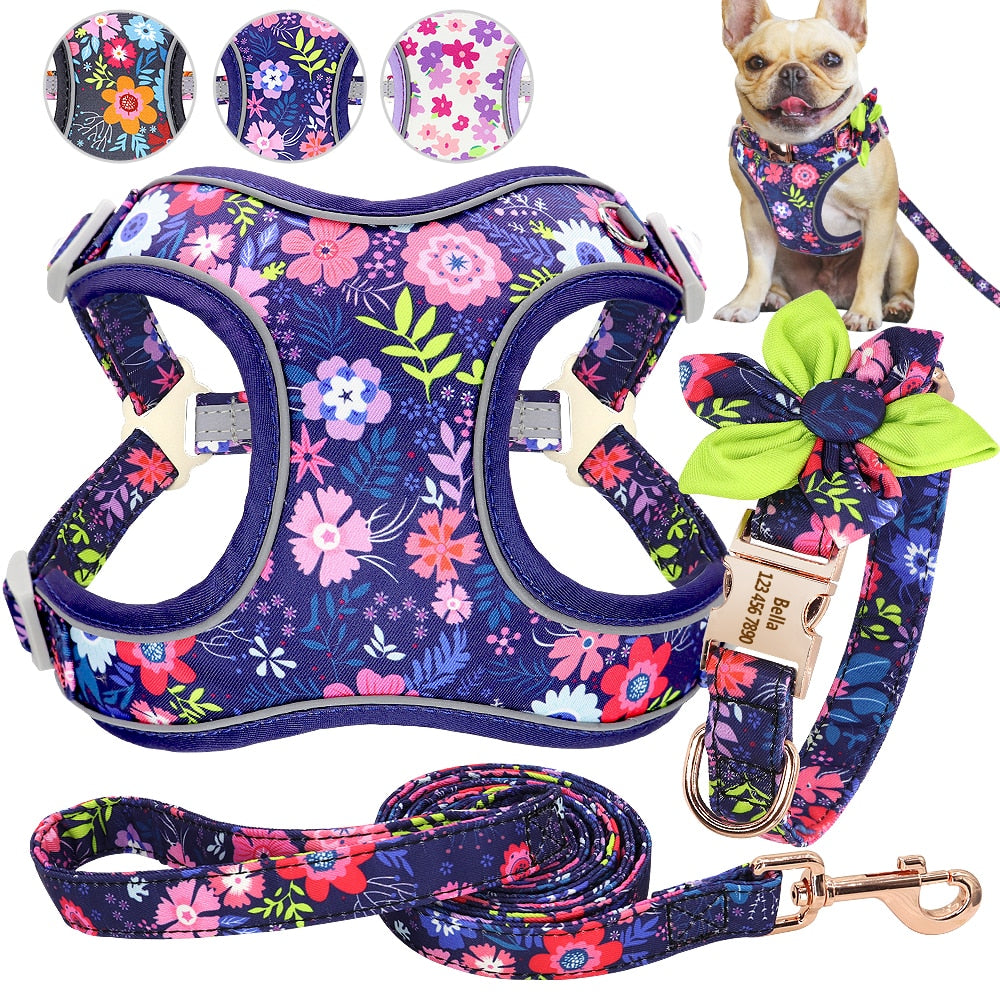 Violet Hues: Personalized SET/Collars/Leash/Harness - CurliTail