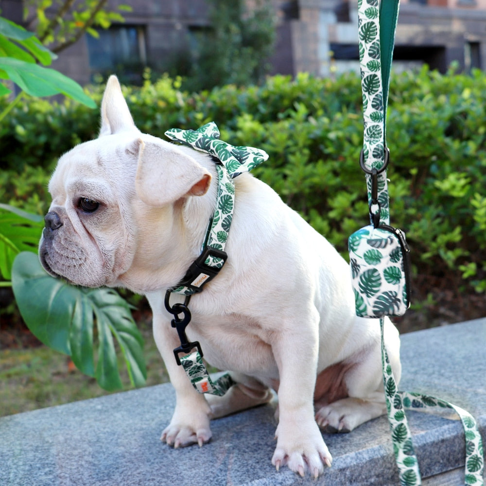 Patterns And Shades: Bow Collar, Leash And Poop Bag Pack