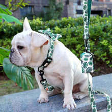 Patterns And Shades: Bow Collar, Leash And Poop Bag Pack - CurliTail