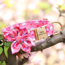 Multidesign Flower Dog Collar: Personalized Accessory in multiple colors - CurliTail