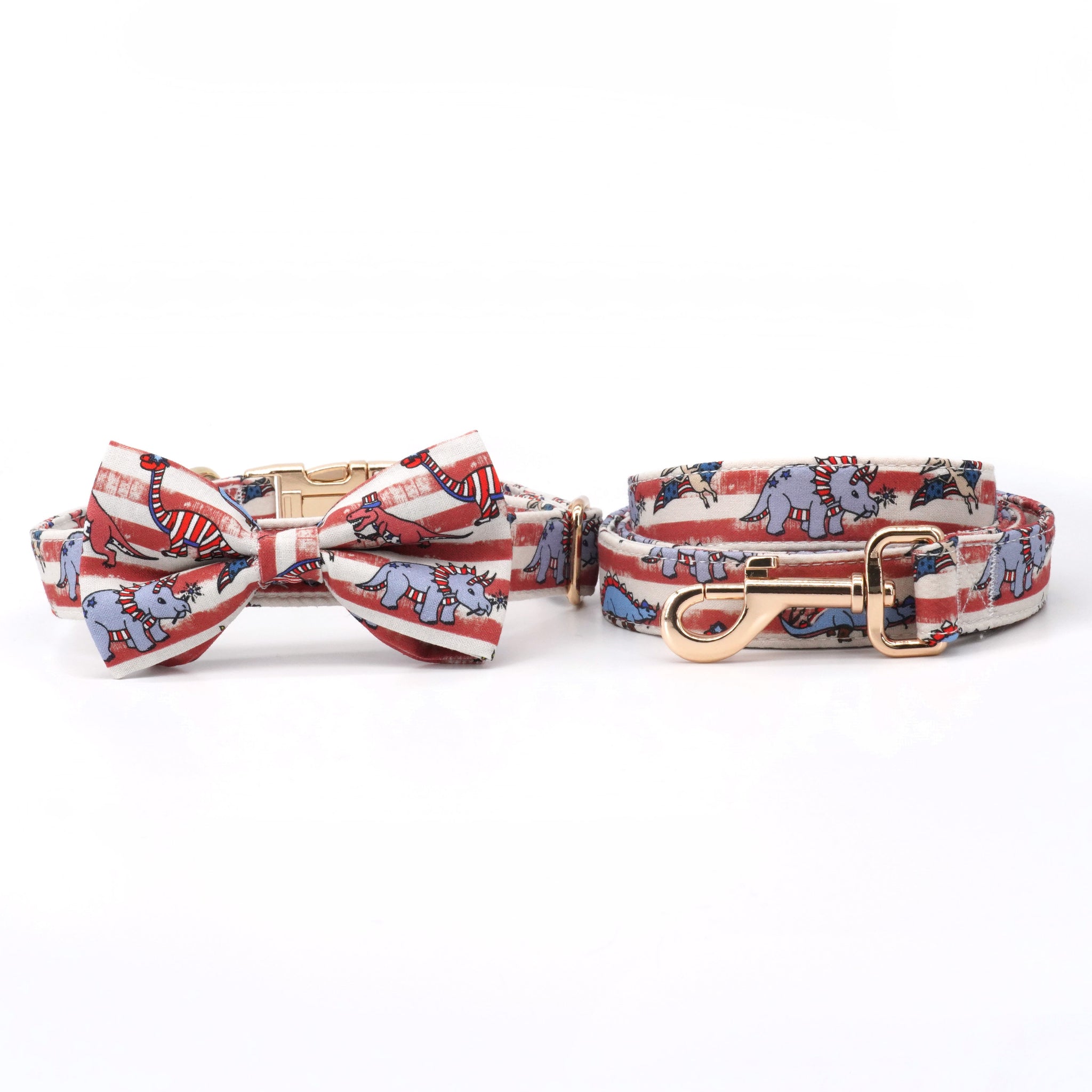 Trendy Dinos: Personalized Collars And Leashes - CurliTail