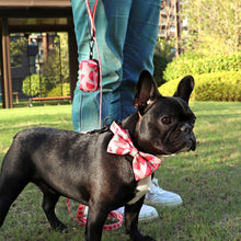 Patterns And Shades: Bow Collar, Leash And Poop Bag Pack - CurliTail