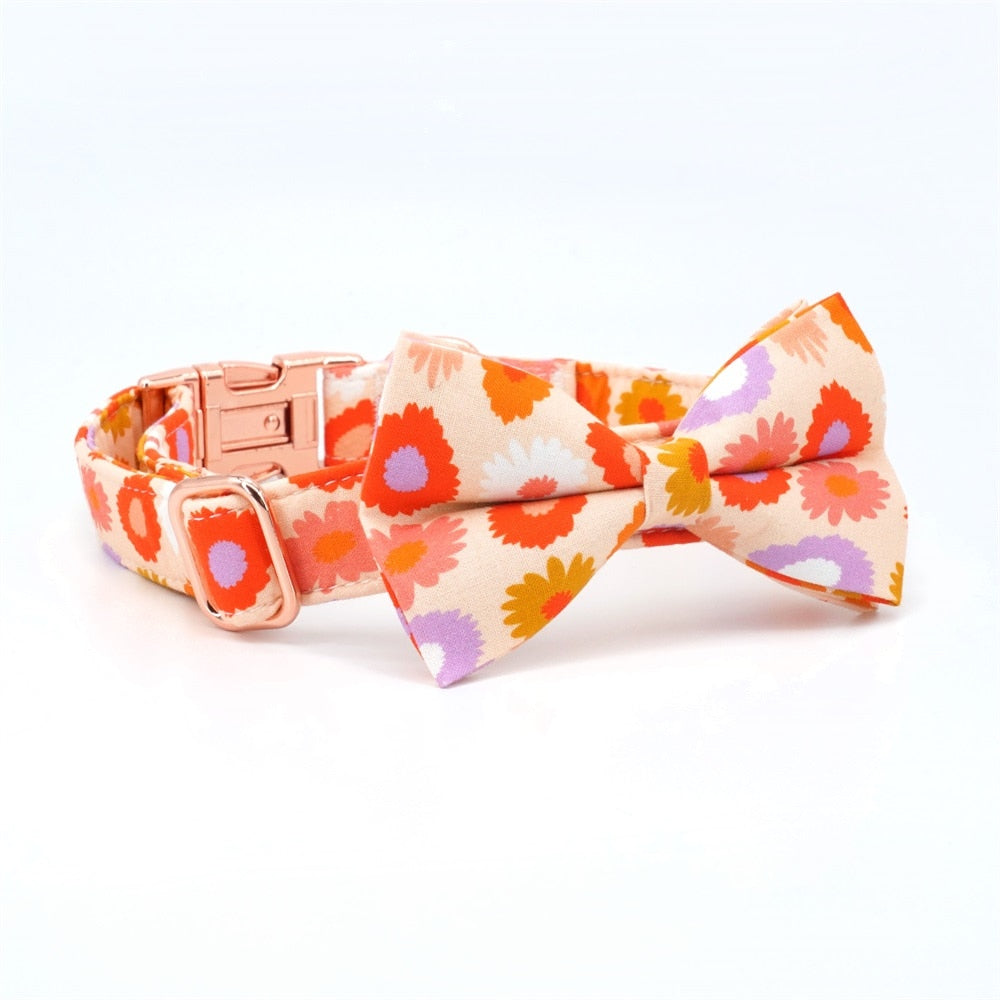 Sweet Daisies: Personalized Collars & Leashes - CurliTail