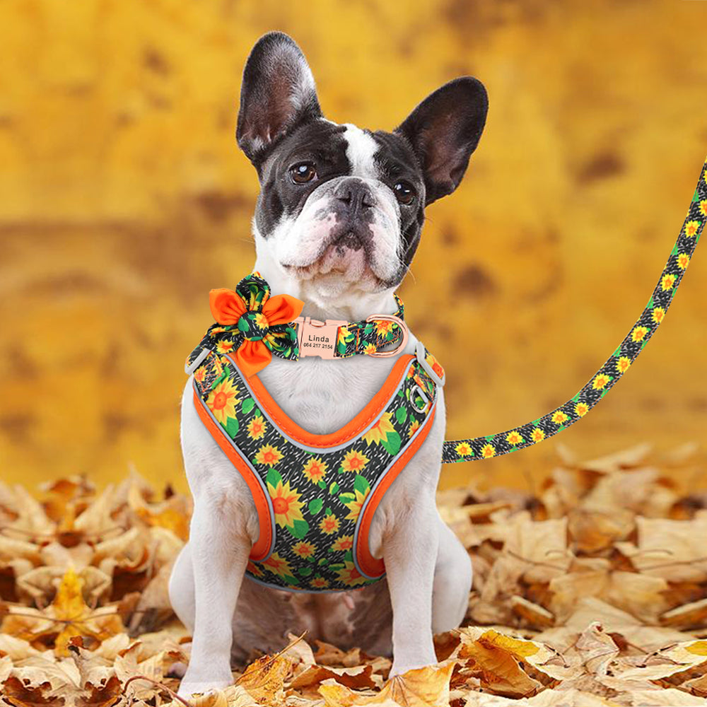 Bright Florals Set: Personalized Collar, Leash And Harness - CurliTail