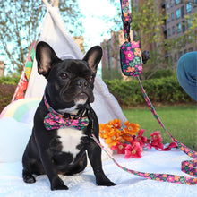 Patterns And Shades: Bow Collar, Leash And Poop Bag Pack - CurliTail